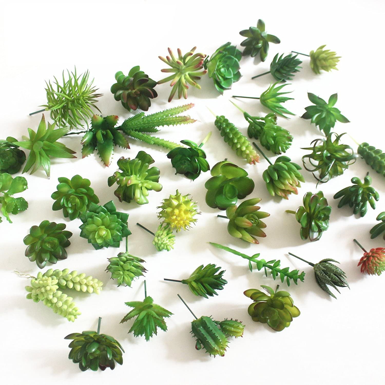 Echeveria Succulent - 15 piante grasse artificiali decorative miste
