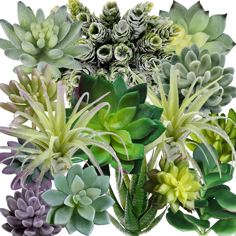 Echeveria Succulent - Set di 15 Piante Succulente Artificiali