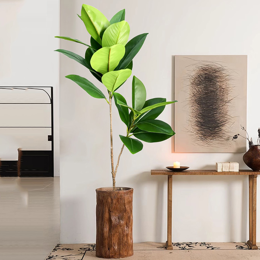 74-140 cm Grande Albero Ficus  - Ficus Lyrata Tree recensione e prezzo