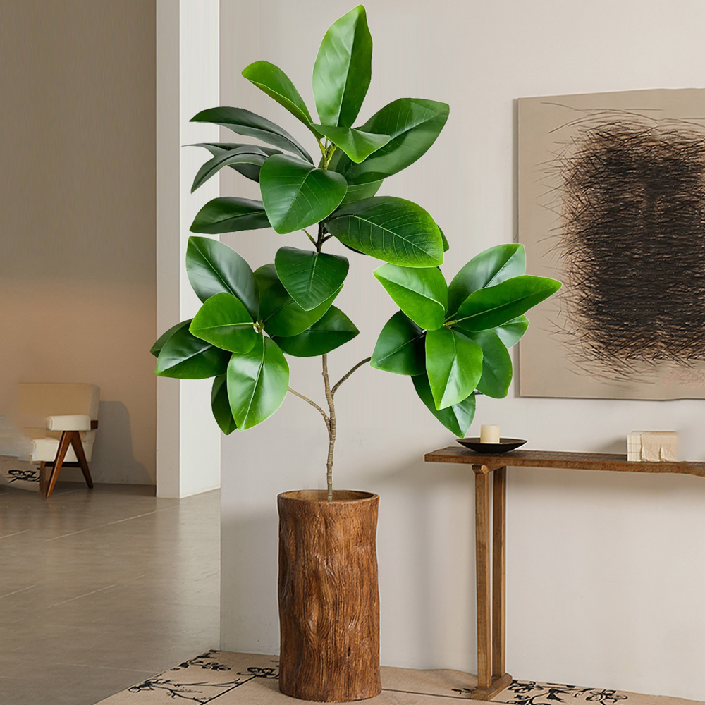 74-140 cm Grande Albero Ficus  - Ficus Lyrata Tree recensione e prezzo