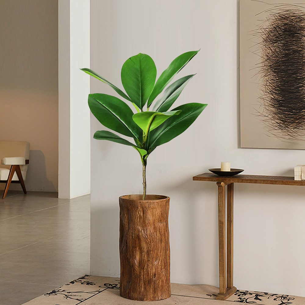 74-140 cm Grande Albero Ficus  - Ficus Lyrata Tree recensione e prezzo