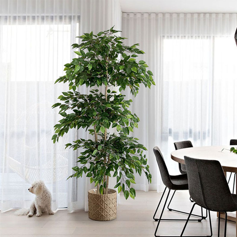 70in Ficus albero artificiale  - Ficus Lyrata Tree recensione e prezzo
