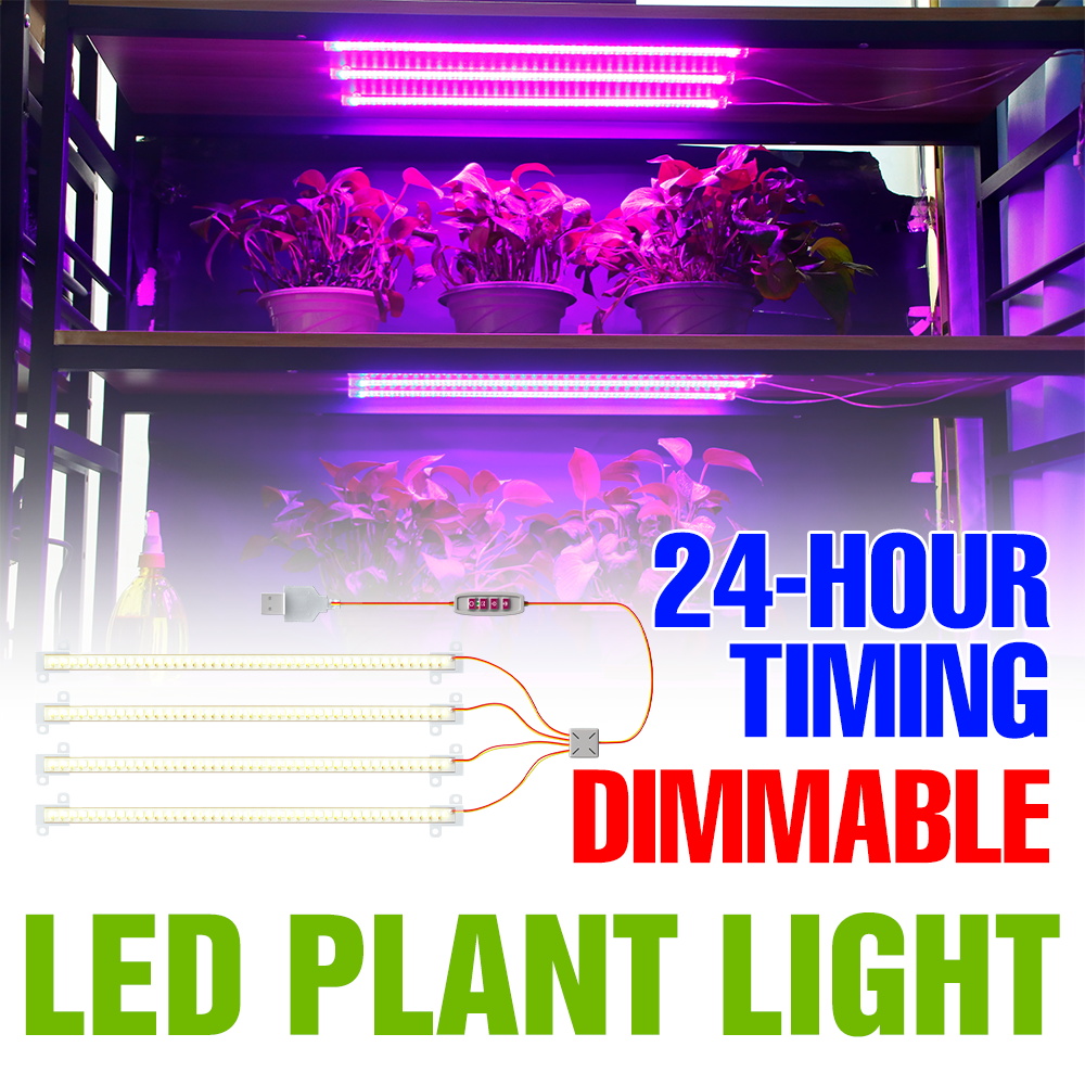 Barra LED per Piante da Intern - Echeveria Succulent recensione e prezzo