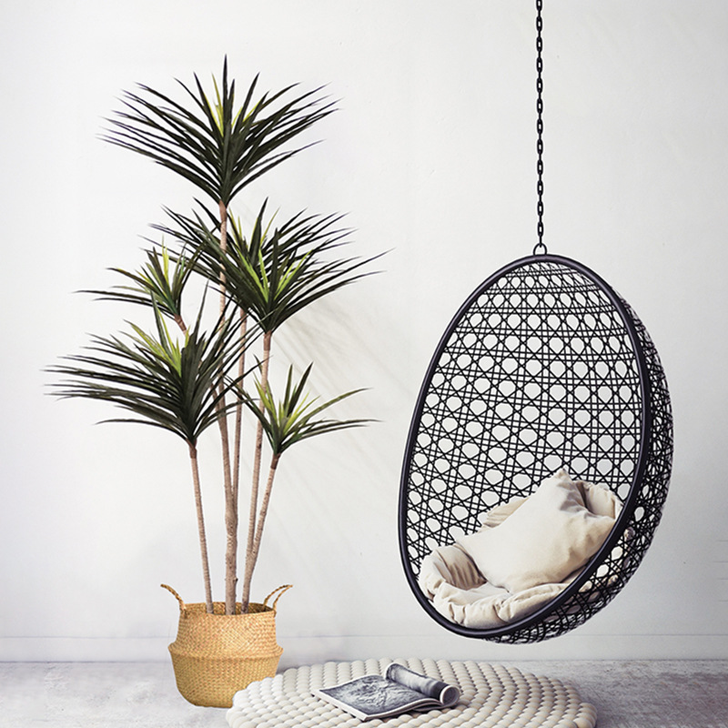 90-120 cm Grandi Piante Dracae - Ficus Lyrata Tree recensione e prezzo