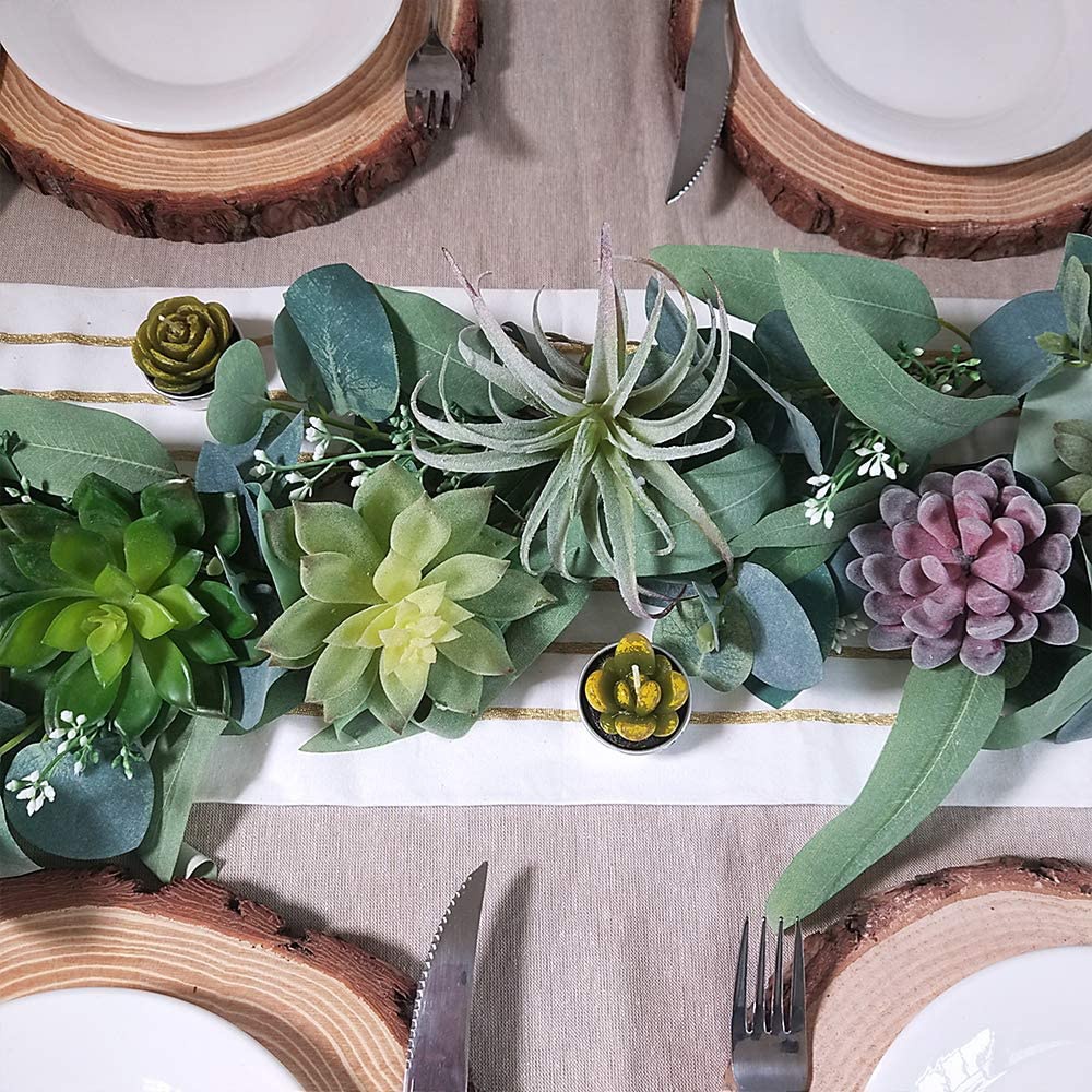 Set di 15 Piante Succulente Ar - Echeveria Succulent recensione e prezzo