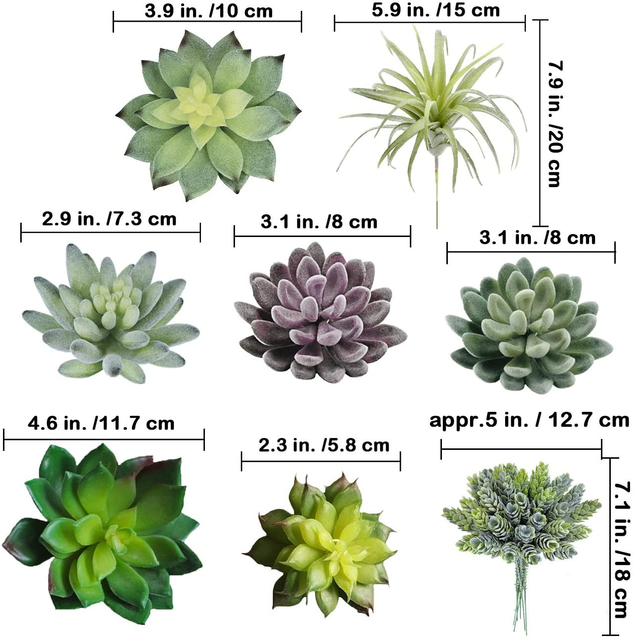 Set di 15 Piante Succulente Ar - Echeveria Succulent recensione e prezzo