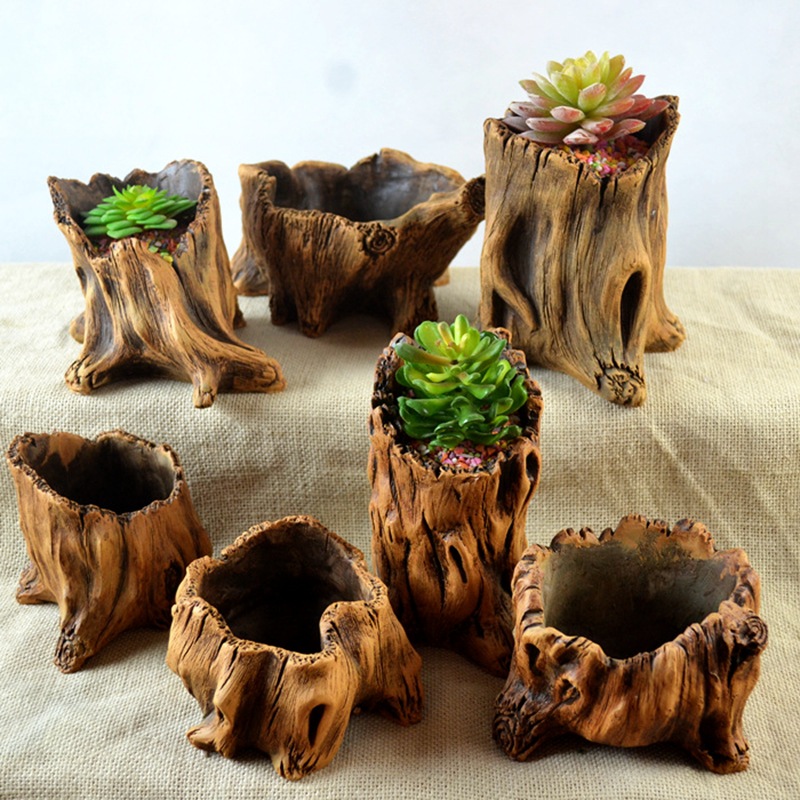 Pali in legno imitazione Radic - Echeveria Succulent recensione e prezzo