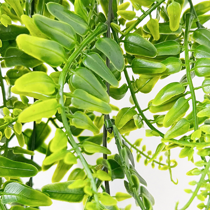 90 cm Persiano Felce Foglie Vi - Monstera Adansonii recensione e prezzo