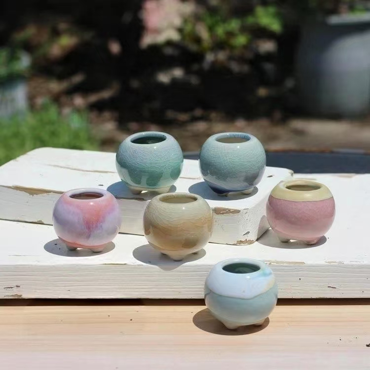 6 pezzi mini vaso da fiori pia - Echeveria Succulent recensione e prezzo