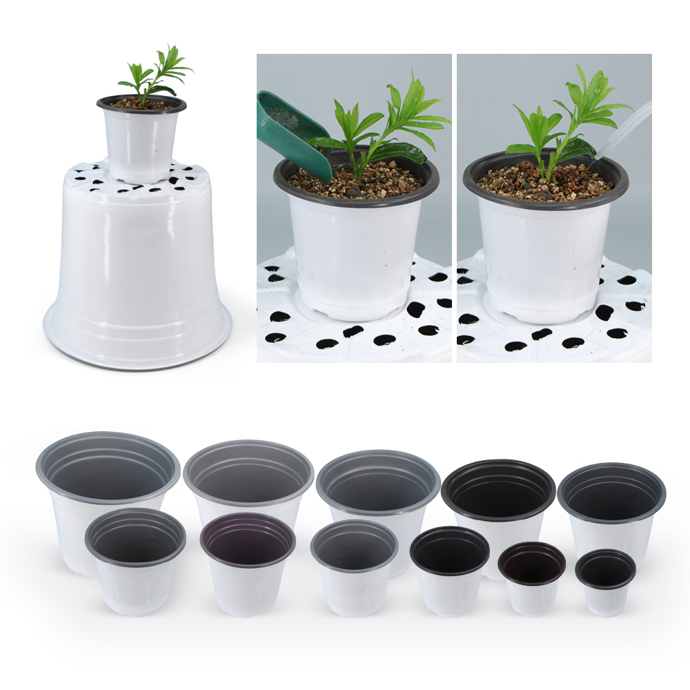 Vaso da fiori in plastica bian - Echeveria Succulent recensione e prezzo